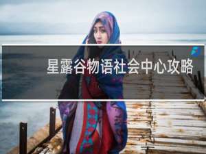 星露谷物语社会中心攻略