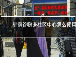 星露谷物语社区中心怎么使用