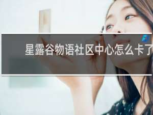 星露谷物语社区中心怎么卡了