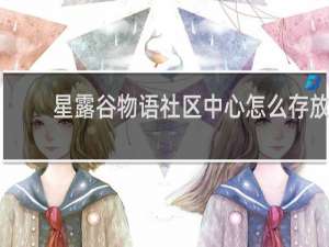 星露谷物语社区中心怎么存放