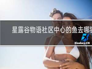 星露谷物语社区中心的鱼去哪钓