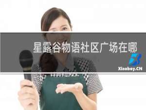 星露谷物语社区广场在哪