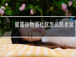 星露谷物语社区怎么抓老鼠