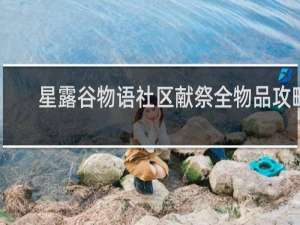 星露谷物语社区献祭全物品攻略