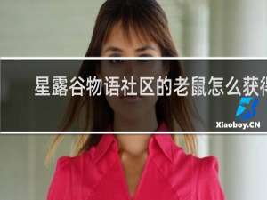 星露谷物语社区的老鼠怎么获得