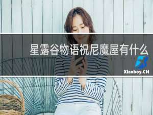星露谷物语祝尼魔屋有什么