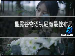 星露谷物语祝尼魔最佳布局