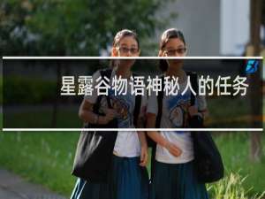 星露谷物语神秘人的任务