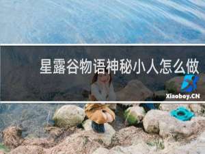 星露谷物语神秘小人怎么做
