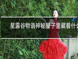 星露谷物语神秘屋子里藏着什么