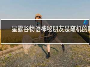星露谷物语神秘朋友是随机的吗