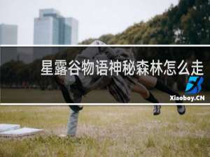 星露谷物语神秘森林怎么走