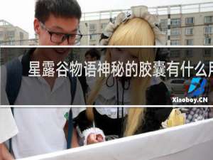 星露谷物语神秘的胶囊有什么用