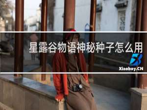 星露谷物语神秘种子怎么用