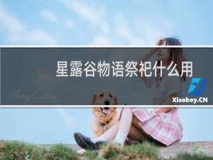 星露谷物语祭祀什么用
