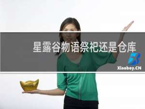 星露谷物语祭祀还是仓库