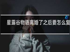 星露谷物语离婚了之后要怎么复合
