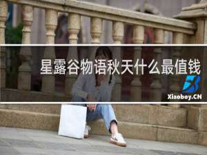 星露谷物语秋天什么最值钱