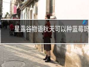 星露谷物语秋天可以种蓝莓吗