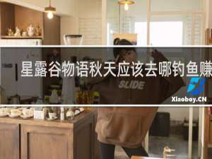 星露谷物语秋天应该去哪钓鱼赚钱