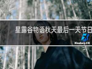 星露谷物语秋天最后一天节日