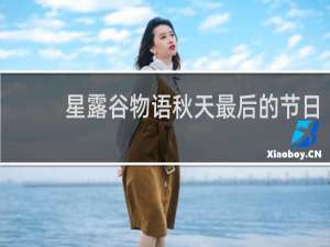星露谷物语秋天最后的节日