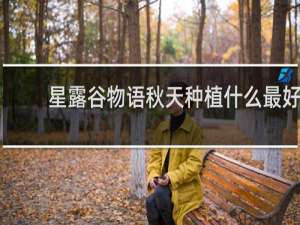 星露谷物语秋天种植什么最好