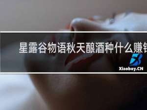 星露谷物语秋天酿酒种什么赚钱