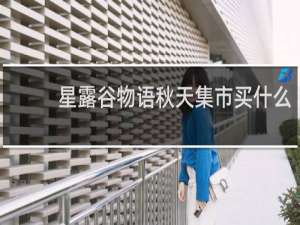 星露谷物语秋天集市买什么