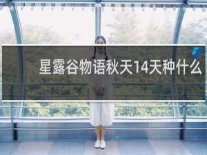 星露谷物语秋天14天种什么