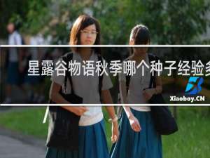 星露谷物语秋季哪个种子经验多