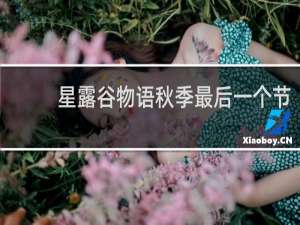 星露谷物语秋季最后一个节