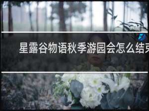 星露谷物语秋季游园会怎么结束