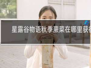 星露谷物语秋季蕨菜在哪里获得