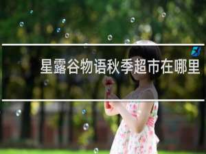 星露谷物语秋季超市在哪里