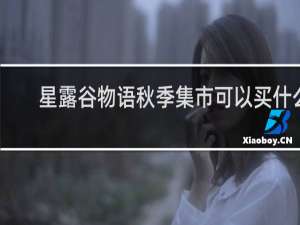 星露谷物语秋季集市可以买什么