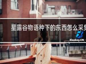 星露谷物语种下的东西怎么采集