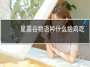 星露谷物语种什么给鸡吃