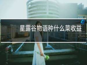 星露谷物语种什么菜收益