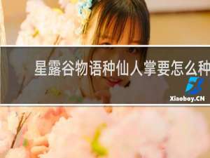 星露谷物语种仙人掌要怎么种