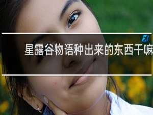 星露谷物语种出来的东西干嘛