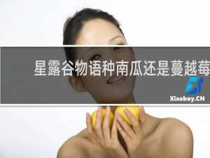 星露谷物语种南瓜还是蔓越莓