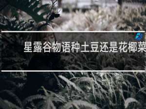 星露谷物语种土豆还是花椰菜