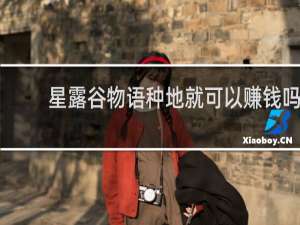 星露谷物语种地就可以赚钱吗