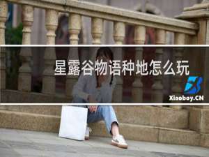 星露谷物语种地怎么玩