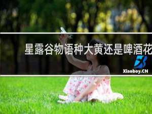 星露谷物语种大黄还是啤酒花