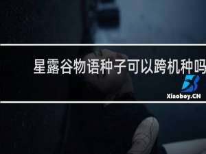 星露谷物语种子可以跨机种吗