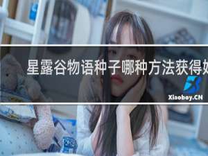 星露谷物语种子哪种方法获得好