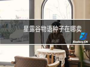 星露谷物语种子在哪卖