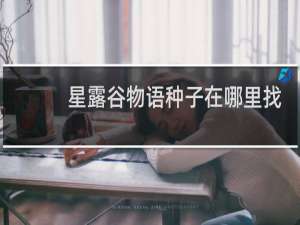 星露谷物语种子在哪里找